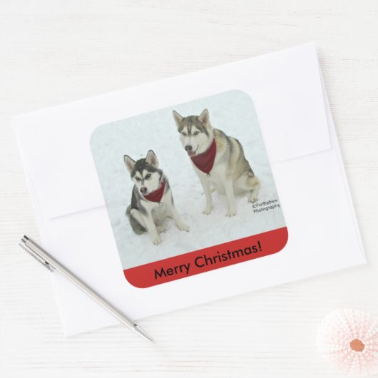 Siberisch Husky-Kerst sticker (Envelop)