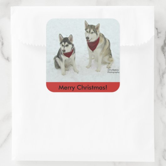 Siberisch Husky-Kerst sticker (Tas)