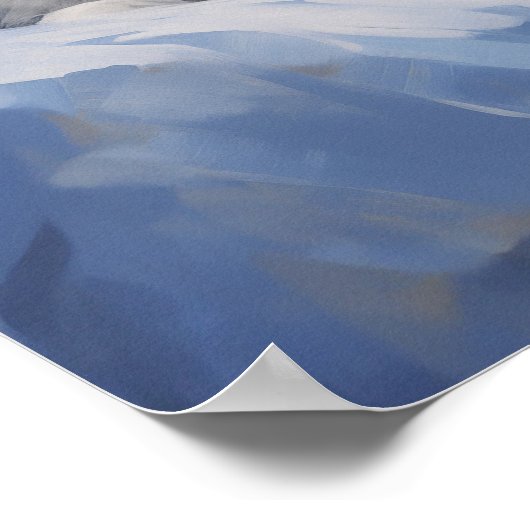 Siberisch Husky-pakket Poster (Hoek)