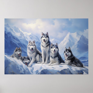 Siberisch Husky-pakket Poster