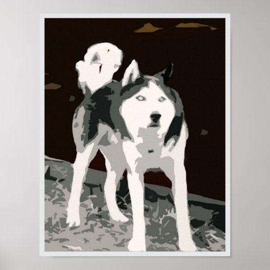 Siberisch husky-poster poster (Voorkant)