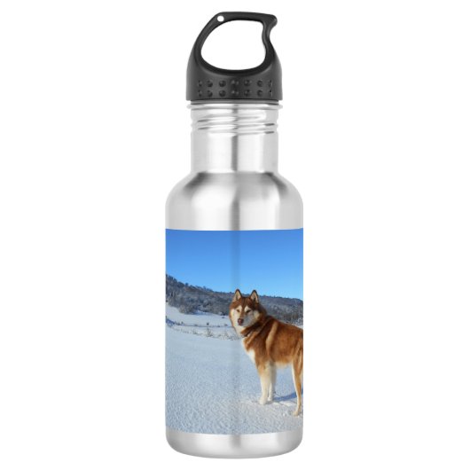 siberisch-husky-rood en wit, vol waterfles (Voorkant)