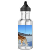 siberisch-husky-rood en wit, vol waterfles (Rechts)