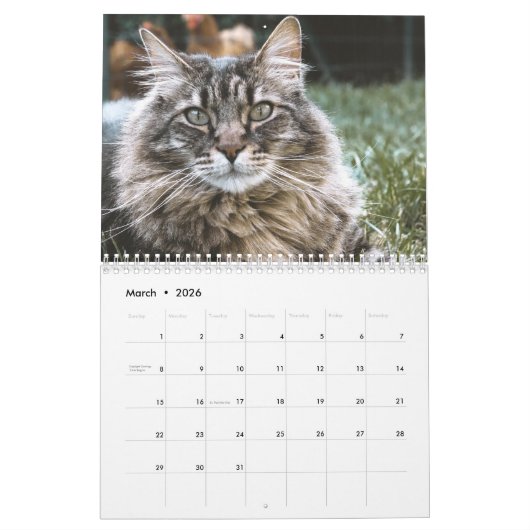 Siberisch kat kalender 2019 (Mar 2026)