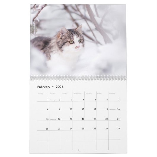Siberisch kat kalender 2019 (Feb 2026)