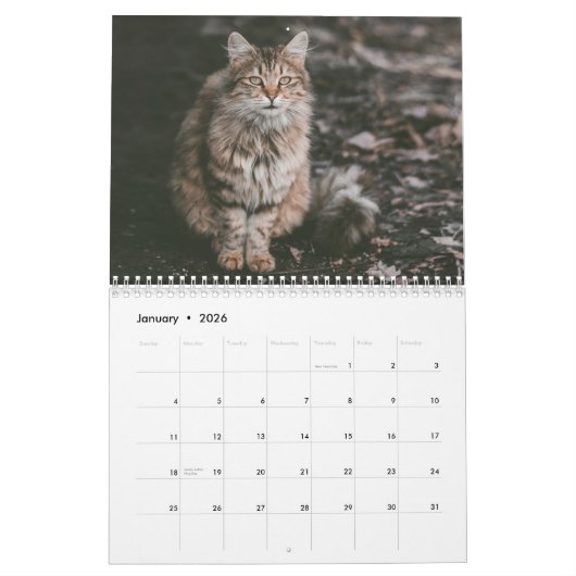 Siberisch kat kalender 2019 (Jan 2026)