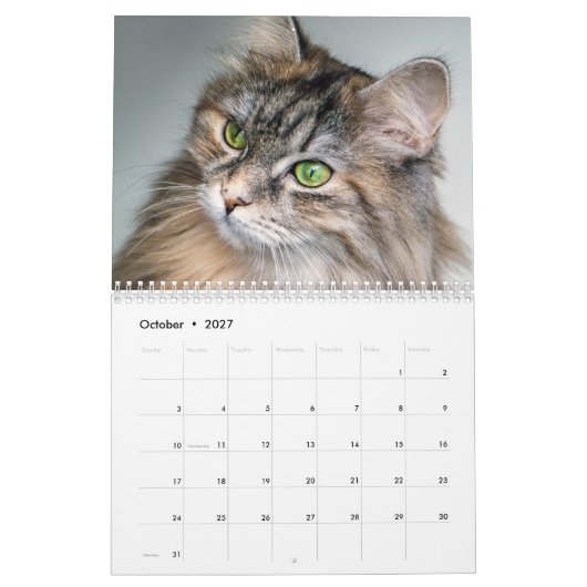 Siberisch kat kalender 2019 (Okt 2027)