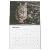 Siberisch kat kalender 2019 (Jan 2027)
