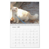 Siberische boskat kalender (Jan 2027)