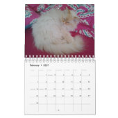 Siberische boskat kalender (Feb 2027)