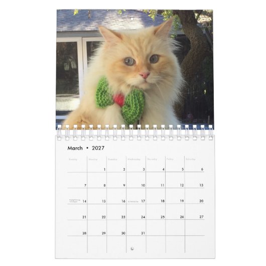 Siberische boskat kalender (Mar 2027)