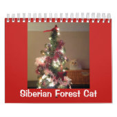 Siberische boskat kalender (Hoes)