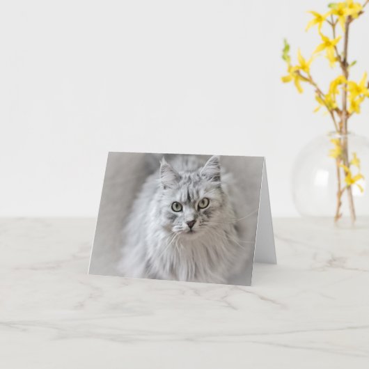 Siberische Cat Note-Kaart Kaart (Gele Bloem)