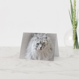 Siberische Cat Note-Kaart Kaart
