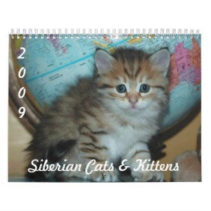 Siberische CATS-kalender 2009 Kalender