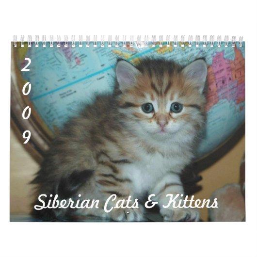 Siberische CATS-kalender 2009 Kalender (Hoes)
