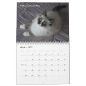 Siberische CATS-kalender 2009 Kalender (Mar 2027)