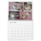 Siberische CATS-kalender 2009 Kalender (Jan 2027)