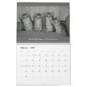 Siberische CATS-kalender 2009 Kalender (Feb 2027)