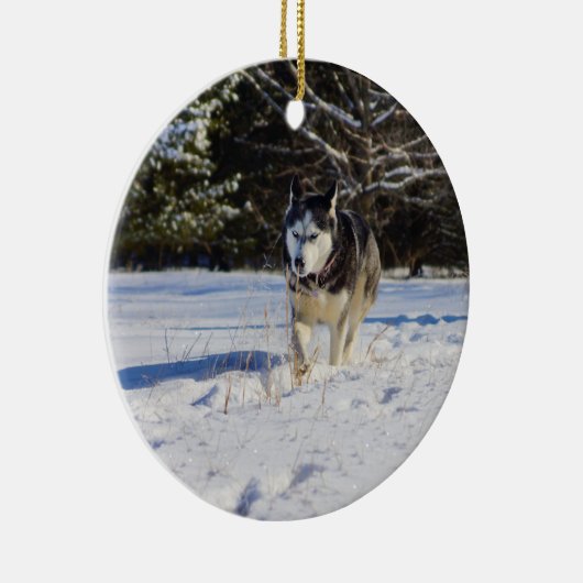 Siberische gist in de sneeuw keramisch ornament (Rechts)