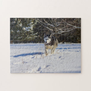 Siberische gist in de sneeuw legpuzzel
