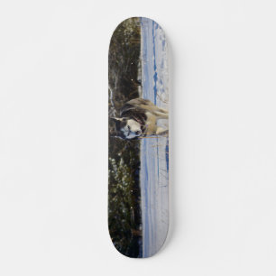 Siberische gist in de sneeuw persoonlijk skateboard