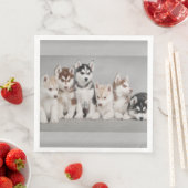 Siberische Huskies Papieren servetten (Insitu)