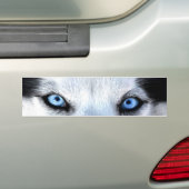 Siberische husky blauwe ogen bumpersticker (Op auto)