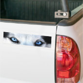 Siberische husky blauwe ogen bumpersticker (Op Truck)
