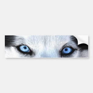 Siberische husky blauwe ogen bumpersticker