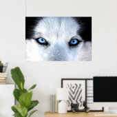Siberische husky blauwe ogen poster (Thuiskantoor)