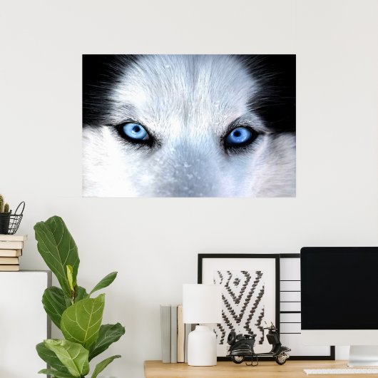 Siberische husky blauwe ogen poster (Thuiskantoor)