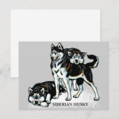 siberische husky briefkaart (Voorkant / Achterkant)