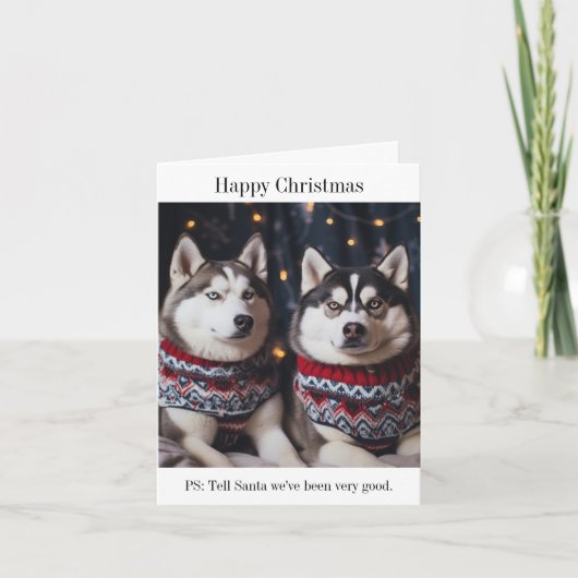 Siberische Husky Dogs Kerstmis Kaart (Voorkant)