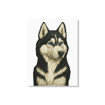 Siberische Husky Edelsteen