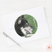 Siberische Husky Foto Ronde Sticker (Envelop)