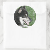 Siberische Husky Foto Ronde Sticker (Tas)