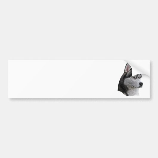 Siberische Husky - Gestileerde afbeelding - Voeg u Bumpersticker (Voorkant)
