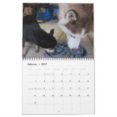 Siberische husky groeit op kalender (Feb 2027)
