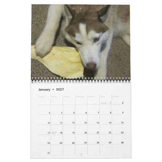 Siberische husky groeit op kalender (Jan 2027)