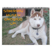Siberische husky groeit op kalender (Hoes)
