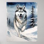 Siberische Husky - Hond Art Print (Voorkant)