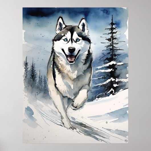 Siberische Husky - Hond Art Print (Voorkant)