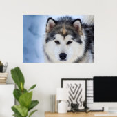 Siberische Husky Hond Gezichtsfotografie Poster (Thuiskantoor)