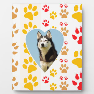 Siberische Husky Hond Hart Paws Print Fotoplaat