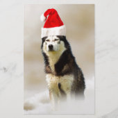 Siberische Husky Hond met Santa Hoed in Sneeuw Briefpapier (Voorkant)