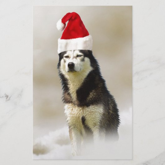Siberische Husky Hond met Santa Hoed in Sneeuw Briefpapier (Voorkant)