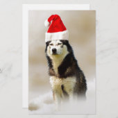 Siberische Husky Hond met Santa Hoed in Sneeuw Briefpapier (Voorkant / Achterkant)
