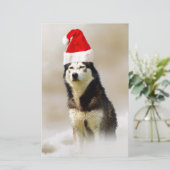 Siberische Husky Hond met Santa Hoed in Sneeuw Briefpapier (Staand voorkant)