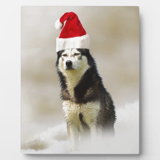 Siberische Husky Hond met Santa Hoed in Sneeuw Fotoplaat (Voorkant)